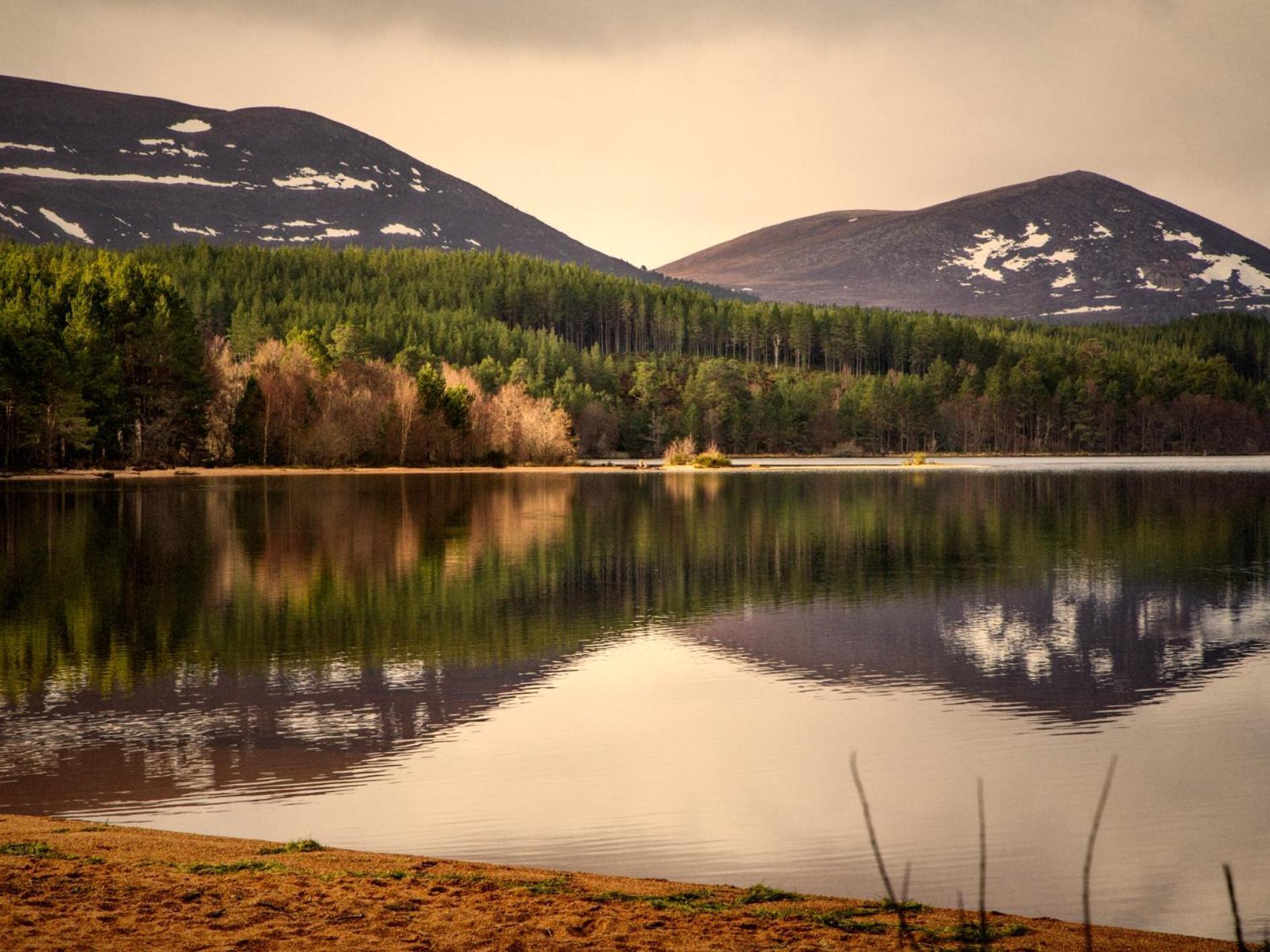 The Retreat Villa Belladrum Екстериор снимка